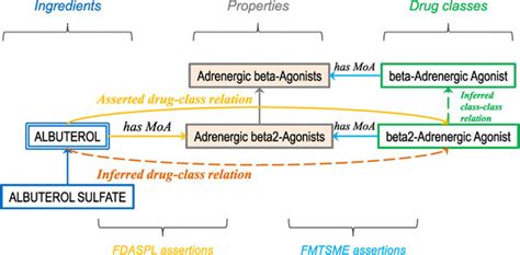 is albuterol a beta agonist|4.13 Beta.
